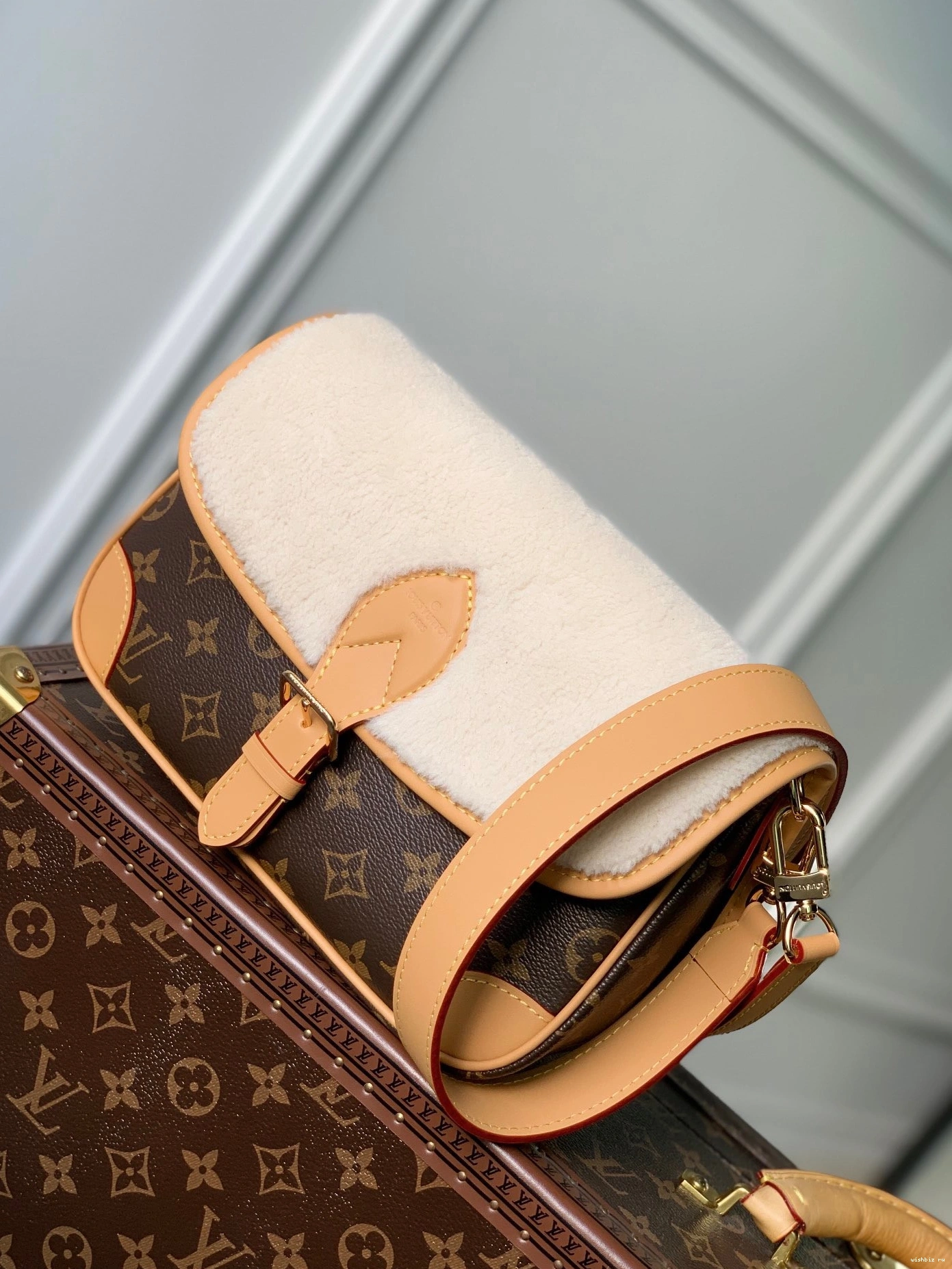 WIS VUITTON LOUIS Diane Nano 1211